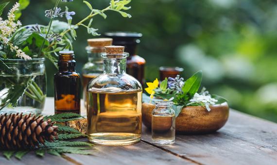 斯里蘭卡傳統草藥療法及蒸氣浴