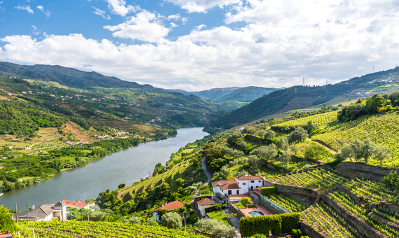 杜羅河谷 Douro Valley