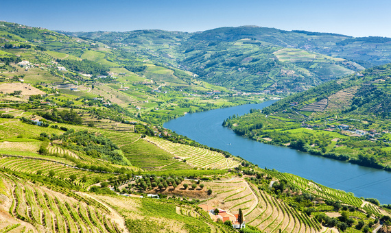 杜羅河谷 Douro Valley