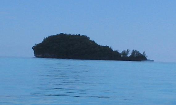 鯨魚島(船經)