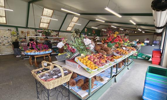 克倫威爾-水果鎮