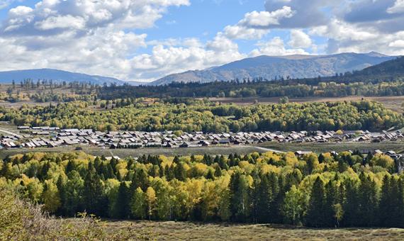 禾木村 (含區間車)