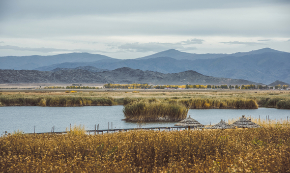 可可蘇里沼澤濕地
