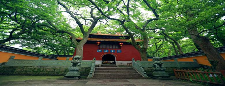 我行我素素食旅遊 |《普陀山朝聖團》南海觀音道場.不肯去觀音院.紫竹林.洛迦山.觀音法界.蘇州靈岩山寺.夜遊外灘步行街8日 (含地陪服務費/上網卡/渡輪來回飯店行李費用/旅平險/機上簡餐(去程))