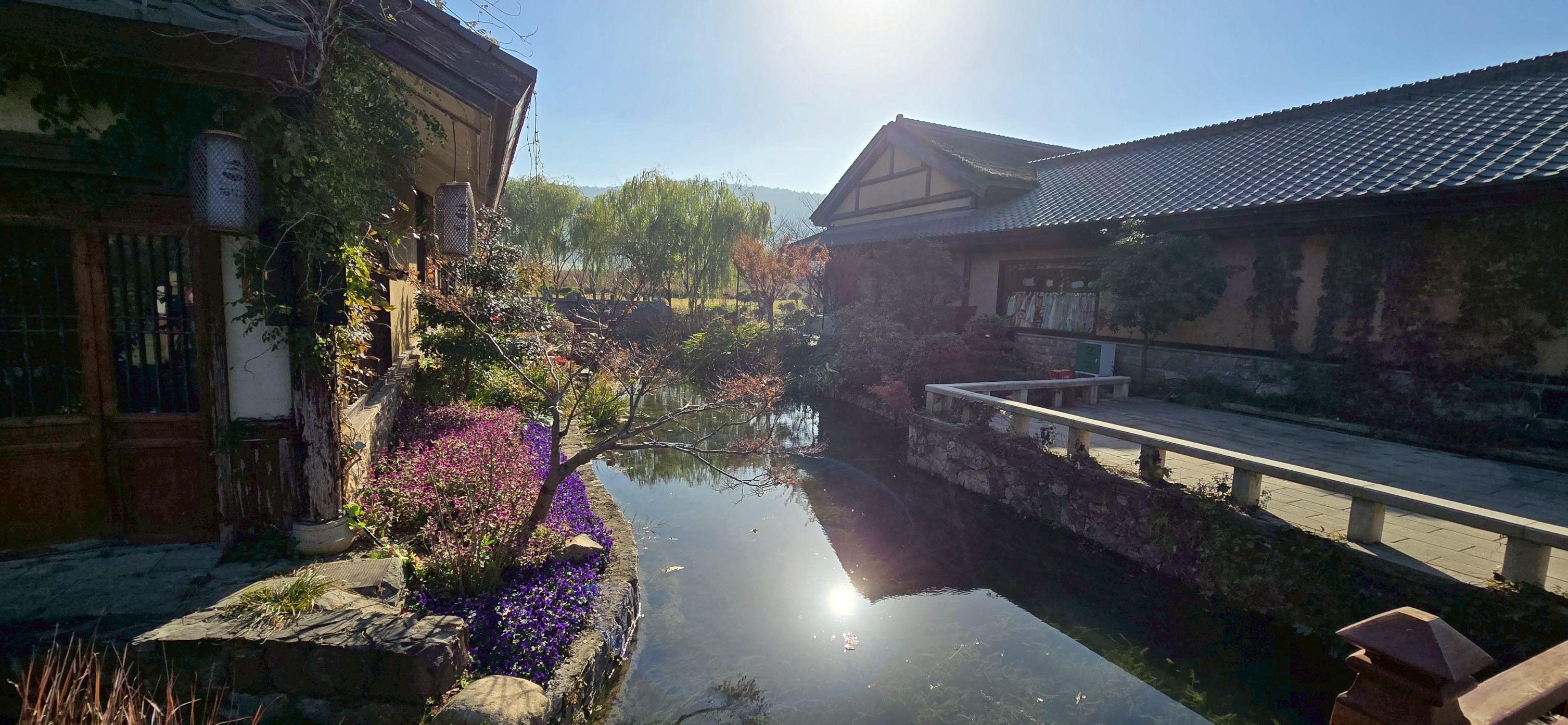 我行我素全素食旅遊~九華山.牛首山佛頂宮.無錫靈山大佛8日 (含地陪服務費/上網卡)