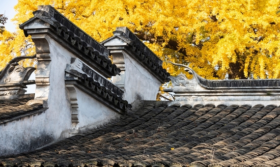 我行我素 素食旅遊 ~ 江南楓光登場 六日自由行 ~ 烏鎮水鄉、惠山古鎮、南京牛首山 (含地陪服務費/上網卡/基礎旅平險/行李小費)