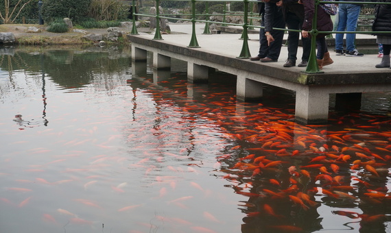 花港觀魚