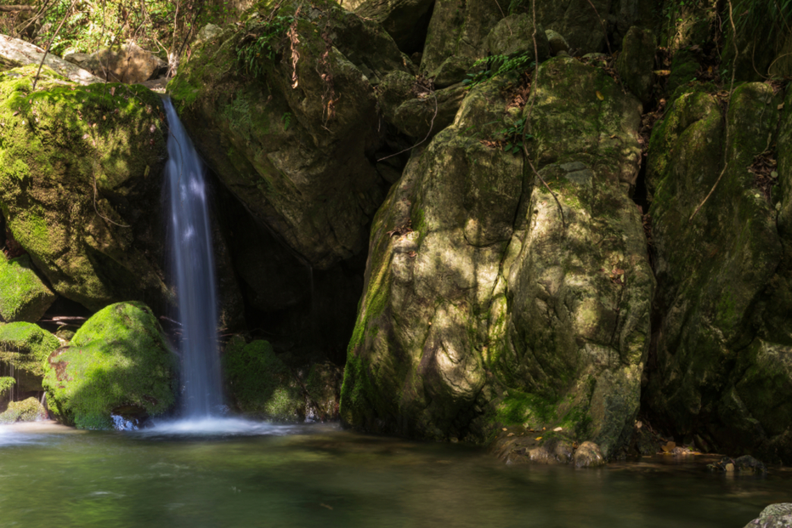 我行我素 素食旅遊 ~ 武漢、常德、鳳凰古城、芙蓉鎮、張家界、天門山、72奇樓、玻璃橋、天門狐仙秀 8日參訪團 MU (含地陪服務費/上網卡/基礎旅平險)
