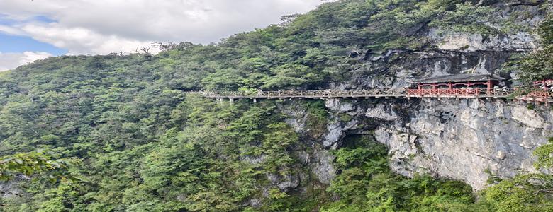 我行我素~素食旅遊 張家界8日參訪團| 武漢、72奇樓、常德、張家界、袁家界、宣恩、天門狐仙秀、赤壁三國古戰場 MU (含地陪服務費/上網卡/基礎旅平險)
