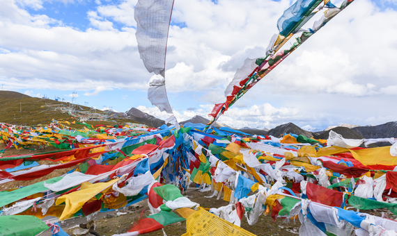 我行我素 素食旅遊~珠峰探秘～西藏林芝山南、青藏鐵路軟臥13天(含地陪服務費/上網卡/基礎旅平險)