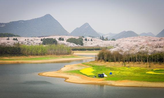 我行我素~素食旅遊 貴州9日參訪團 |貴陽萬畝櫻花、油菜花、千戶苗寨、黃果樹瀑布、荔波小 七孔、萬峰湖遊船三排座 (含地陪服務費、上網卡)