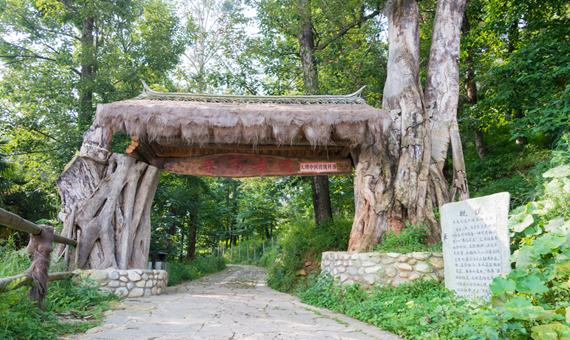 鳳陽邑村&茶馬古道