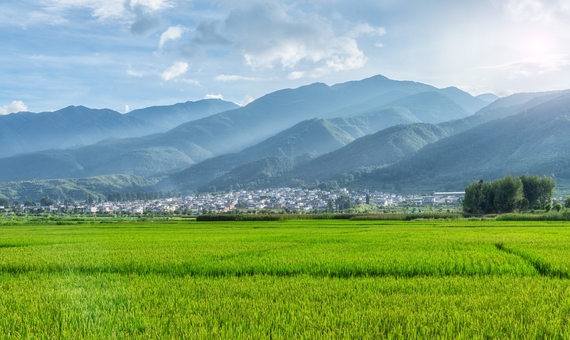 點蒼山