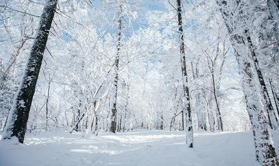 冰雪畫廊景區