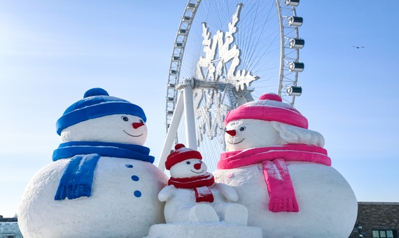 我行我素~素食旅遊 哈爾濱冰雪8日素喜之旅 | 雪落東北・童話雪鄉・長白山・冰雪大世界 CXCZ (含司陪導遊服務費/網卡)