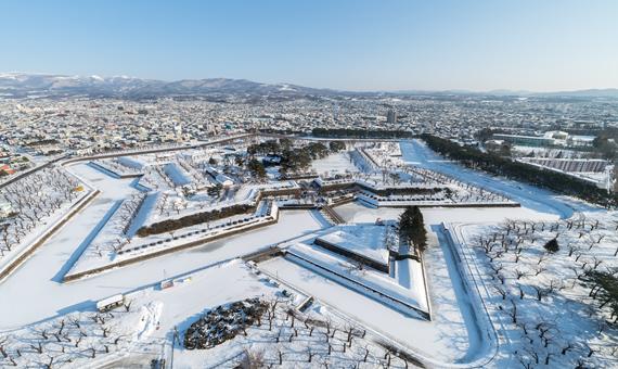 五稜廓公園 (冬)