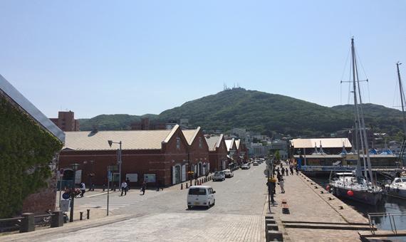我行我素 素食旅遊 北海道玩雪趣５日|函館山夜景、企鵝遊行、雪上活動、浪漫小樽 (含領隊服務費、網路SIM卡)