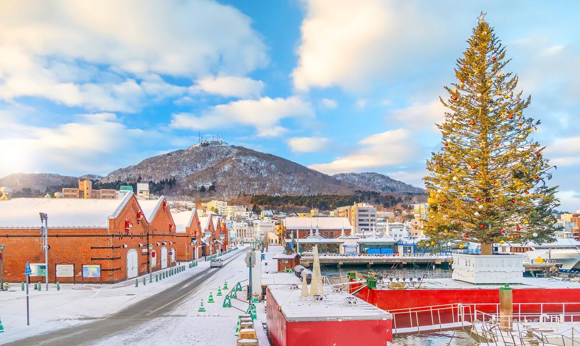 我行我素 素食旅遊 北海道玩雪趣５日|函館山夜景、雪上活動、浪漫小樽 IT (含領隊服務費、網路SIM卡)