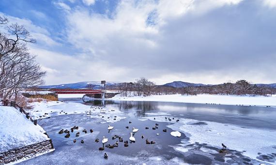 大沼國定公園 (冬)