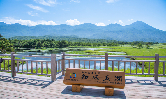 知床五湖散策~一湖(高架木道)