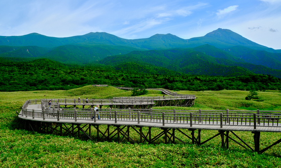(保證出團)我行我素 素食旅遊 北海道道東之美５日 | 釧路溼原號、知床世界遺產祕境、富良野花園、絕景美瑛青池、美人湯(含領隊服務費/上網卡)