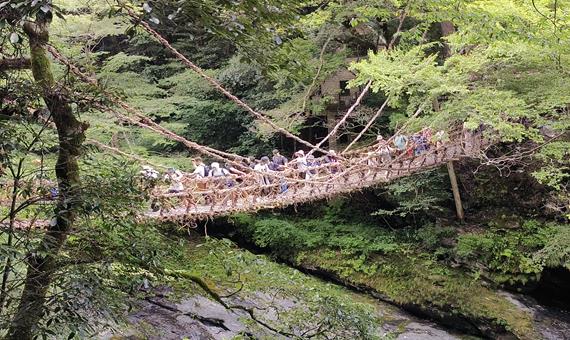 日本三大奇橋－祖谷溪．葛藤橋