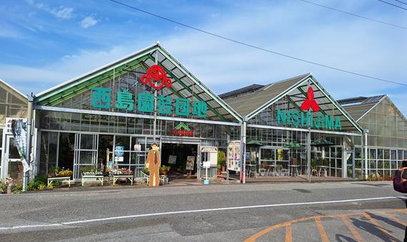 西島花果主題園區 ★贈送 哈密瓜