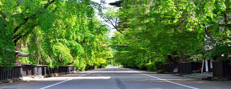 我行我素 素食旅遊 經典首選．東北最美 ~ 奧入瀨溪、銀山溫泉、秋田內陸鐵道、藤原之鄉和服體驗、平泉中尊寺、嚴美溪、松島遊船JX (含小費)