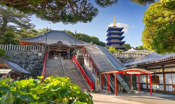 我行我素 素食旅遊 |日本朝聖之旅~【西國33觀音靈場】11日 (順走)(含司機導遊服務費/33所朱印/輪袈裟/白衣/佛寺門票/納經帳本/送上網卡/納札)