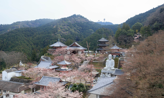 第六番 壺阪寺