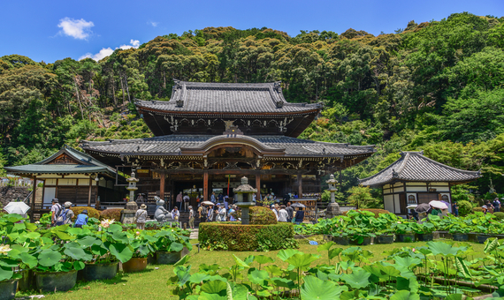 第十番 三室戶寺