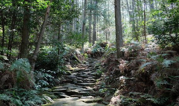 熊野古道