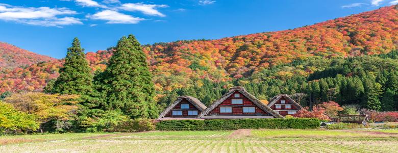 我行我素 素食旅遊~秋楓鐵道北陸5日|黑部立山、上高地、白川鄉合掌村、兩晚溫泉、無自理餐 (含領隊服務費/上網卡)