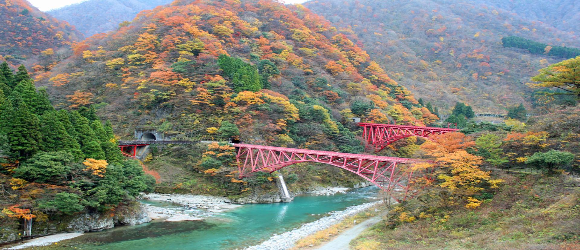 我行我素 素食旅遊~秋楓鐵道北陸5日|黑部立山、上高地、白川鄉合掌村、兩晚溫泉、無自理餐 (含領隊服務費/上網卡)