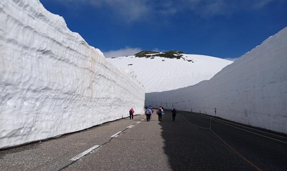 我行我素 素食旅遊~黑部立山. 賞花二重奏7日|黑部立山雪大谷、上高地秘境美景、白川鄉合掌村、兼六園、富士芝櫻BR (含領隊服務費/上網卡)