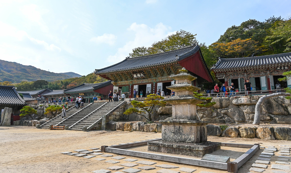 我行我素素食旅遊~釜山十一大名剎殊勝朝聖行8日