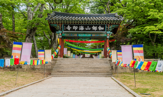 我行我素 素食旅遊 |釜山朝聖之旅5日~通度寺、雲門寺、佛國寺、海印寺、松廣寺、全程精緻素食 (無購物)(含導遊領隊服務費/上網卡)