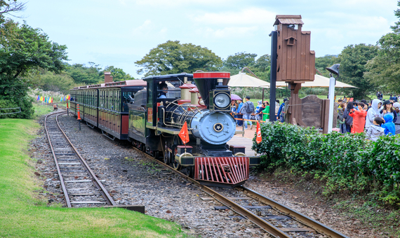 Ecoland歐洲森林樂園～英式小火車