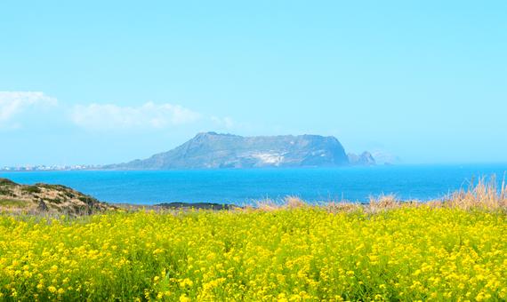 我行我素 素食旅遊 |韓國蜜月之島~濟州賞櫻浪漫自在旅5日(含導遊領隊服務費/網卡/只進彩妝店/住宿星級飯店)