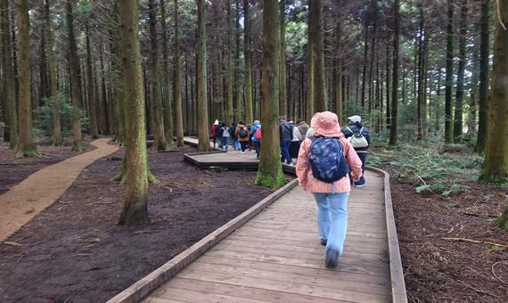 環漢拿山徒步路(思連伊林蔭道）