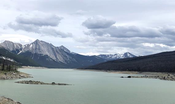 藥師湖 Medicine Lake