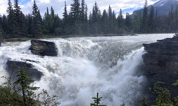 阿薩巴斯卡瀑布 Athabasca Falls