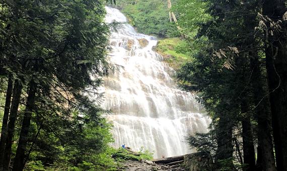 新娘面紗瀑布 Bridalveil Fall