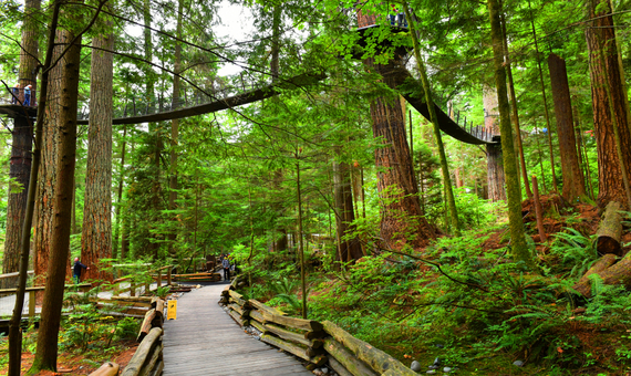 卡皮蘭諾吊橋公園 二 Capilano Suspension Bridge Park