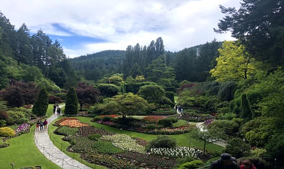 布查花園 The Butchart Gardens